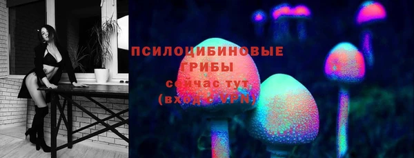 бошки Алзамай