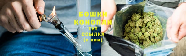 бошки Алзамай