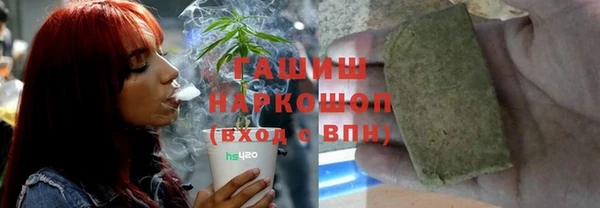 гидра Алексин
