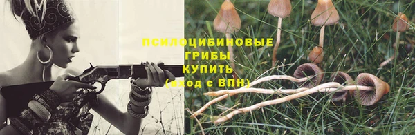 бошки Алзамай
