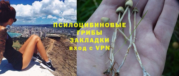 бошки Алзамай