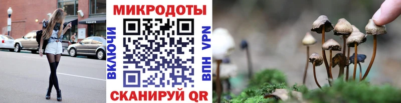 купить наркотик мориарти официальный сайт Псилоцибиновые грибы Psilocybe Мышкин